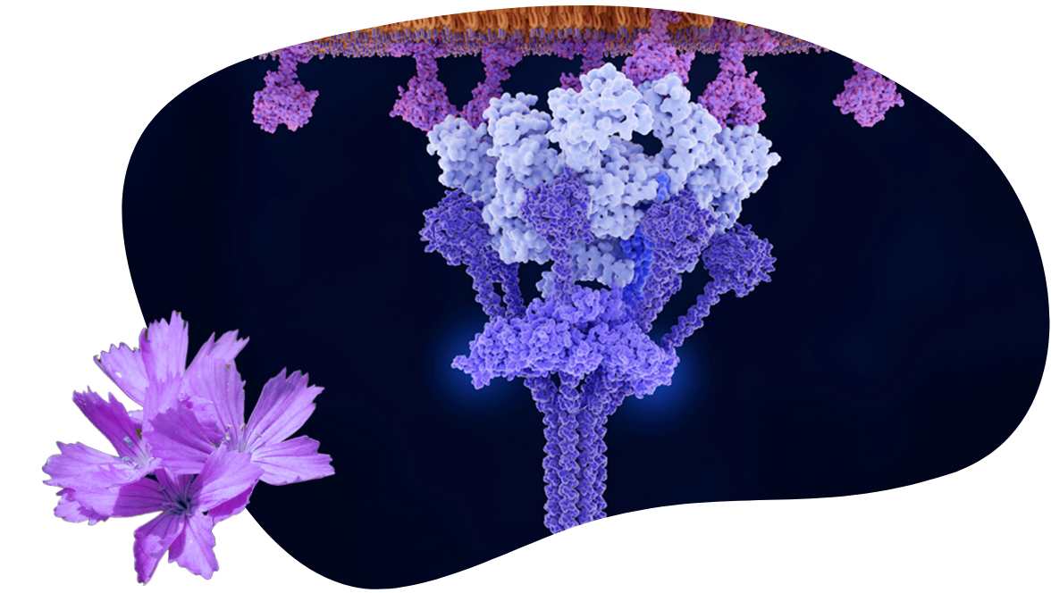 Science flower image